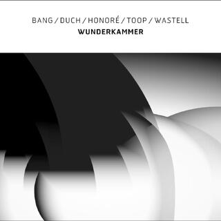 Bang/Duch/Honor&#233;/Toop/Wastell Wunderkammer (LP)