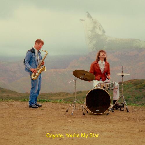 Dana And Alden Coyote, You're My Star - LTD (LP) 
