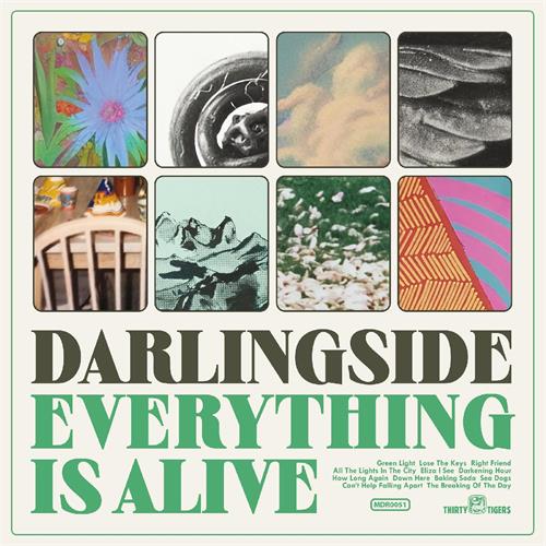 Darlingside Everything Is Alive (CD) 