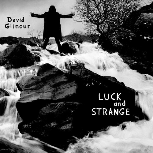 David Gilmour Luck And Strange (CD)