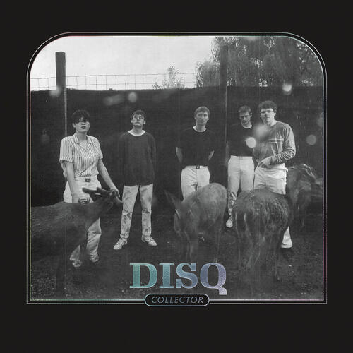 Disq Collector (CD)
