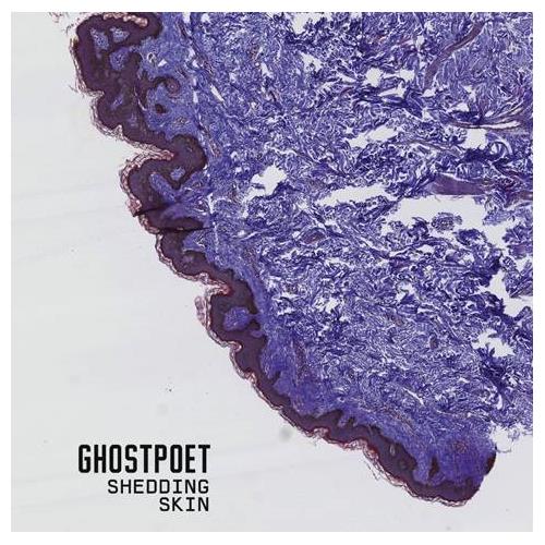 Ghostpoet Shedding Skin (CD)