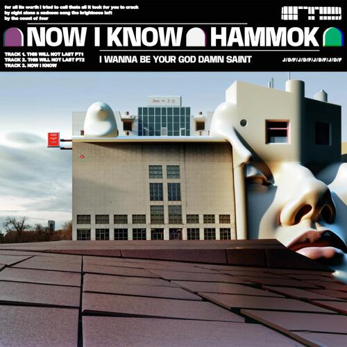 Hammok Jumping Dancing Fighting/Now I Know (LP)