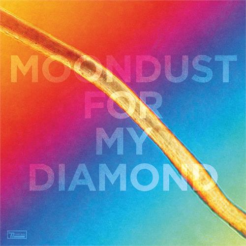 Hayden Thorpe Moondust For My Diamond (LP) 