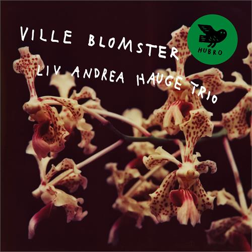 Liv Andrea Hauge Trio Ville Blomster (CD)
