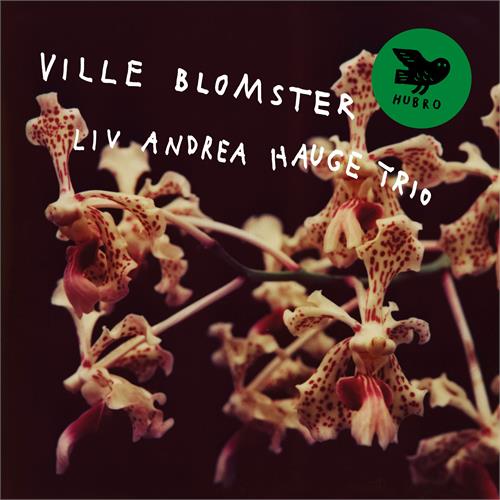 Liv Andrea Hauge Trio Ville Blomster (CD) 