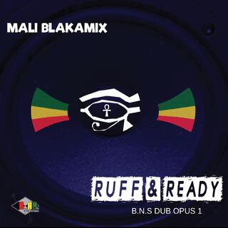 Mali Blakamix Ruff &amp; Ready - Blak Nile Dub Opus 1 (LP)