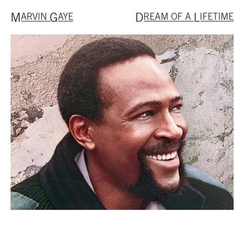 Marvin Gaye Dream Of A Lifetime (CD)