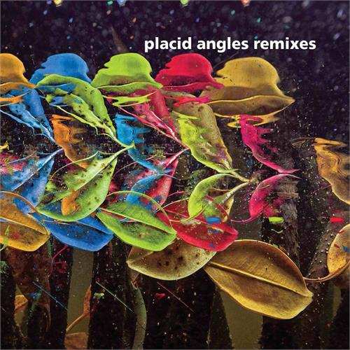 Placid Angles Touch The Earth Remixes (2LP)