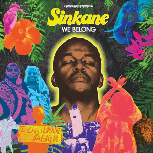 Sinkane We Belong - LTD (LP)