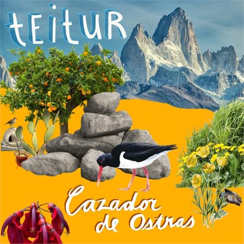 Teitur Cazador de Ostras (CD) 