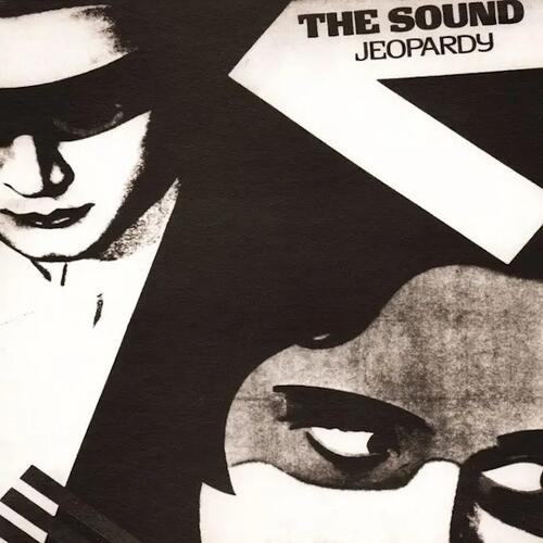 The Sound Jeopardy - LTD (LP) 