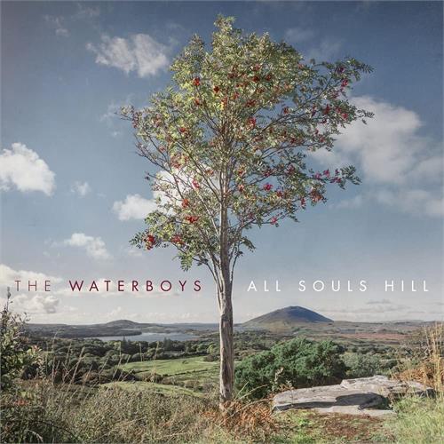 The Waterboys All Souls Hill - LTD (LP)