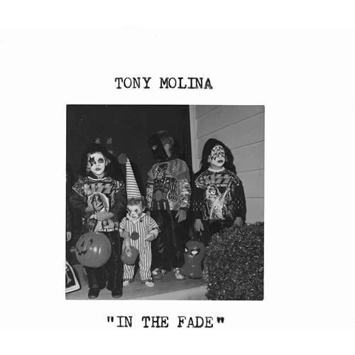 Tony Molina In The Fade (LP)