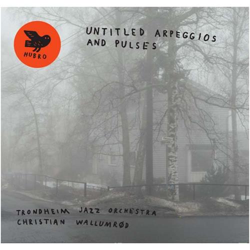Trondheim Jazz Orchestra & C. Wallumrød Untitled Apreggios And Pulses (CD)