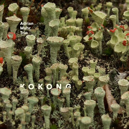 Adrian Myhre Trio Kokong (CD) 