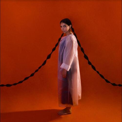 Ana Lua Caiano Vou Ficar Neste Quadrado (LP) 