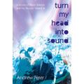 Andrew Berer Turn My Head Into Sound (BOK)