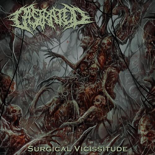 Castrated Surgical Vicissitude (CD) 