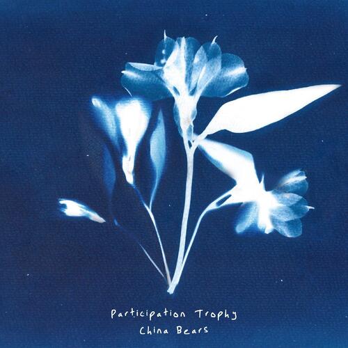 China Bears Participation Trophy (CD) 
