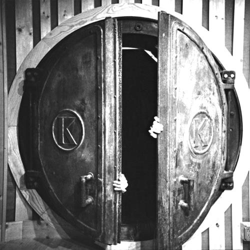 Damaged Bug Bunker Funk (2LP) 