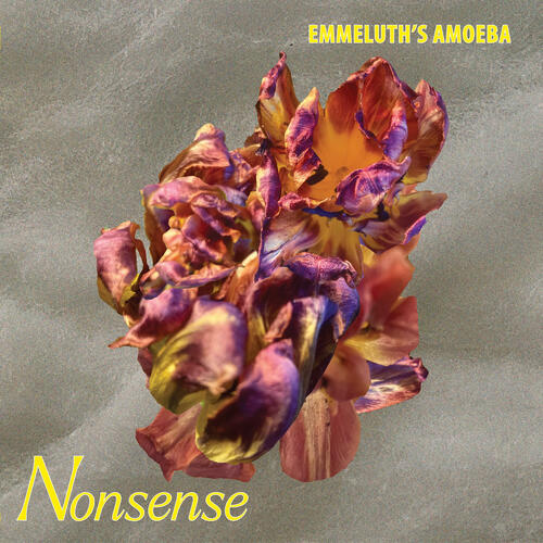 Emmeluth's Amoeba Nonsense (LP)