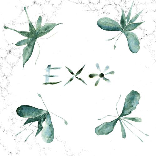 Exo Exo (LP) 