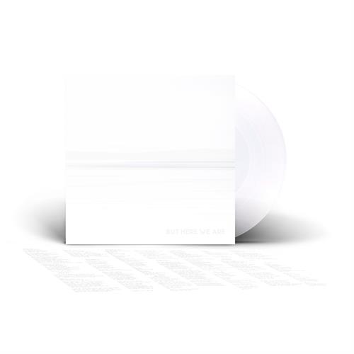 Foo Fighters But Here We Are - LTD (LP)