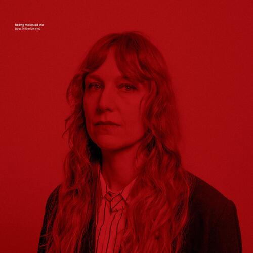 Hedvig Mollestad Trio Bees In The Bonnet (CD) 