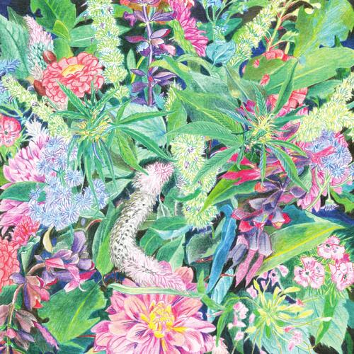 Light-Space Modulator The Rising Wave (LP) 