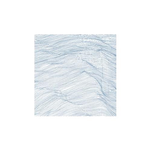 Naqvi Qasim, Wadada Leo Smith, Andrew… Two Centuries - LTD (LP) 