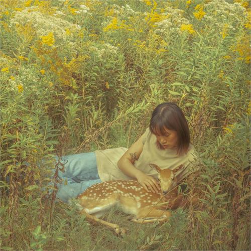 Odesza & Yellow House Flaws In Our Design - LTD (12") 