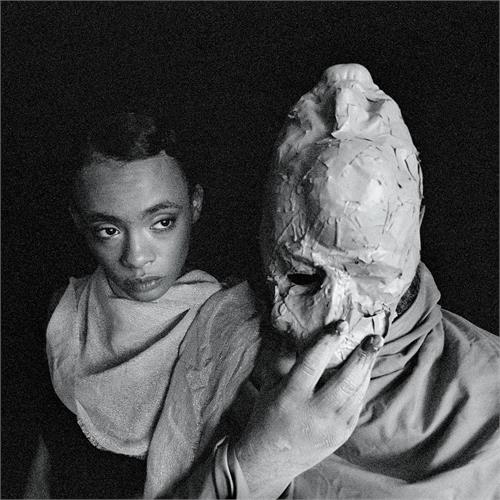 Protomartyr Formal Growth In The Desert (LP) 