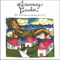 Screaming Females What If Someone Is Watching… - LTD (LP)