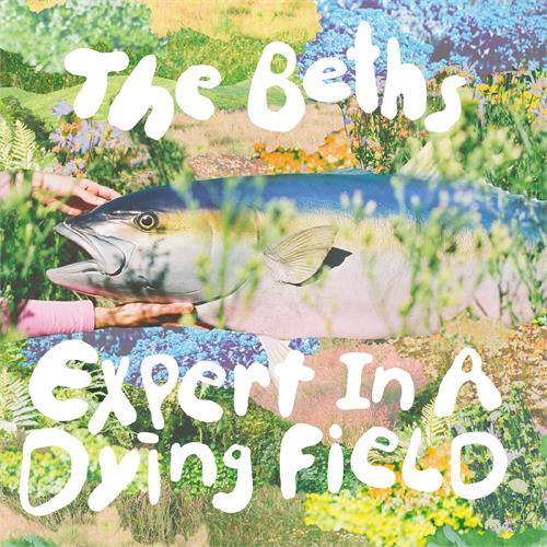 The Beths Expert In A Dying Field - LTD (LP)