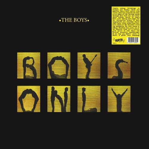 The Boys Boys Only (LP)
