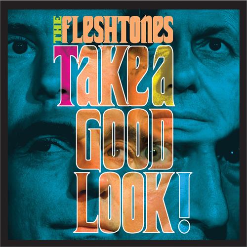 The Fleshtones Take A Good Look (CD) 
