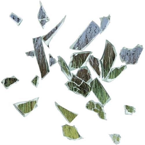 These New Puritans Field Of Reeds: 10th Anniversary… (2LP) 