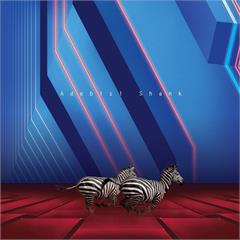Adebisi Shank This Is The Second Album Of A Band… (CD)