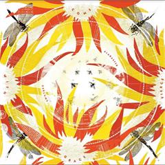 Alabaster DePlume Come With Fierce Grace (LP)