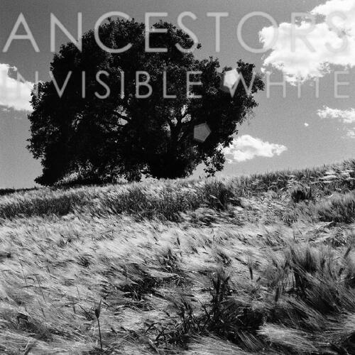 Ancestors Invisible White - LTD (LP)