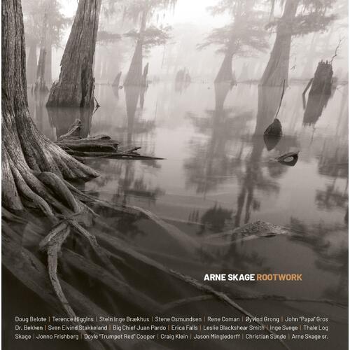 Arne Skage Rootwork (LP) 