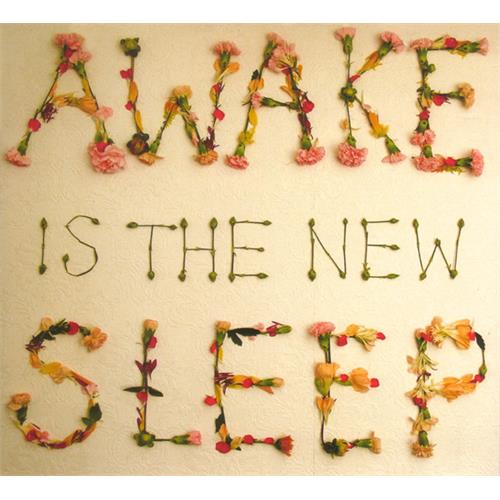 Ben Lee Awake Is The New Sleep (CD)