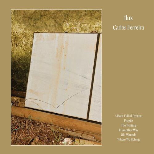 Carlos Ferreira Flux (LP) 