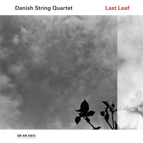 Danish String Quartet Last Leaf (CD)