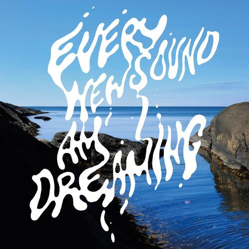 Datasal D-Numbers - Datasal Plays The… (LP) 