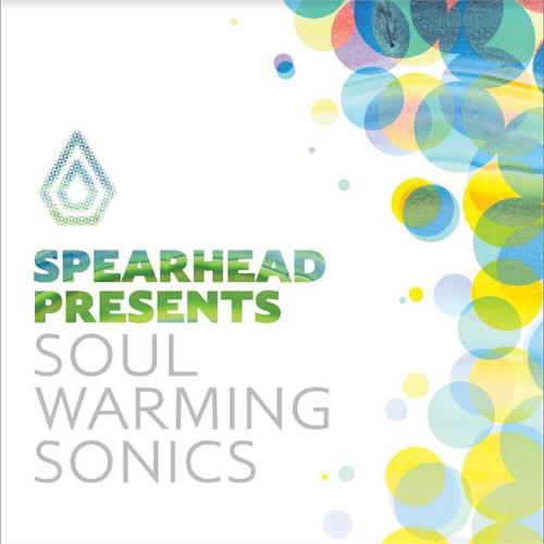 Diverse Artister Soul Warming Sonics (3LP)