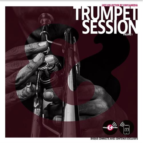 Diverse Artister Vinyl & Media: Trumpet Session (LP) 