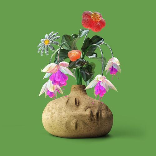 Elephant Gym Dreams - LTD (LP) 