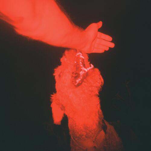 Eli Winter A Trick Of The Light - LTD (LP) 